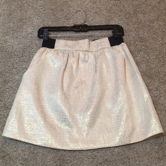 Skirt - Picture 1 of 2